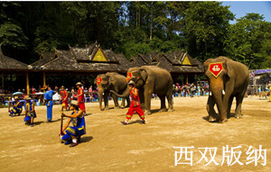 北海到云南旅游路線_報(bào)價(jià)