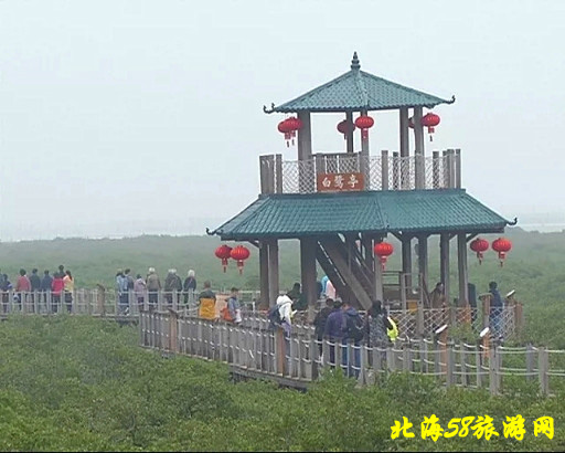 北海紅樹林優惠門票,廣西北海旅行社,