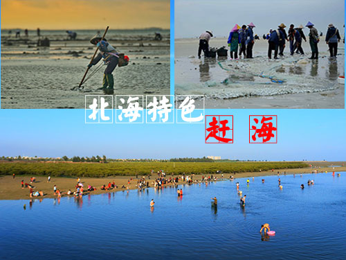 北海市內一日游,廣西北海旅行社,