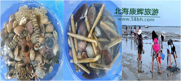 北海趕海和環(huán)島游哪個好玩