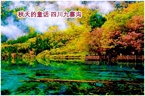 北海到九寨溝旅游路線和價格